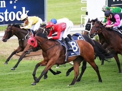 Pierossa, trained by Pat Snowden, won the Gr.3 Spring ... Image 1